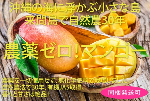 農薬ゼロ！農薬不使用、無化学肥料の沖縄県産マンゴー【2-3玉入り/700g以上】有機JAS認証付き　※クール便（出荷期間7/7-7/10）