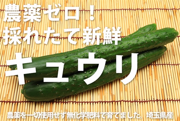 農薬ゼロ！無化学肥料の採れたて新鮮「キュウリ」【1パック2本入り】埼玉県小野農園産 ※クール便（出荷期間7/7-7/10）