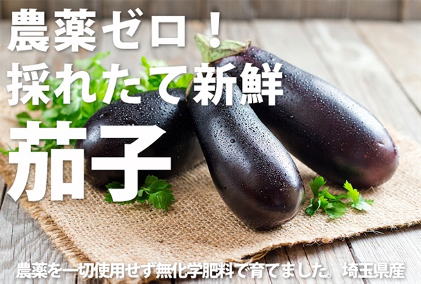 農薬ゼロ！無化学肥料の採れたて新鮮「茄子」【1パック3本入り】埼玉県小野農園産 ※クール便（出荷期間7/7-7/10）