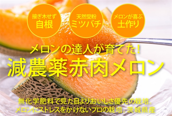 減農薬、無化学肥料の赤肉メロン【1玉】自根、ミツバチ受粉、メロンが喜ぶ土作り※クール便（出荷期間7/7-7/10）