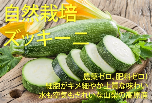 【残り4本】農薬ゼロ、肥料ゼロ！「自然栽培のズッキーニ」【1本】水も空気もきれいな、山梨の高原野菜　クール便（出荷期間7/14-7/14）