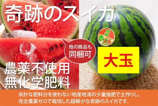 超稀少！農薬ゼロ、奇跡のスイカ「甘泉」【大玉1玉】徳島県産/農薬不使用、無化学肥料/クール便（出荷期間7/21-24）