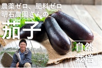 農薬ゼロ、肥料ゼロ、自然栽培の固定種「茄子」【約200g】埼玉県明石農園産　クール便（出荷期間7/28-7/31）