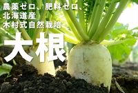 いい土の香り、北海道産の木村式自然栽培「大根」【1本】農薬ゼロ、肥料ゼロ、自然栽培13年目の北の大地、クール便（出荷期間8/4-8/7）