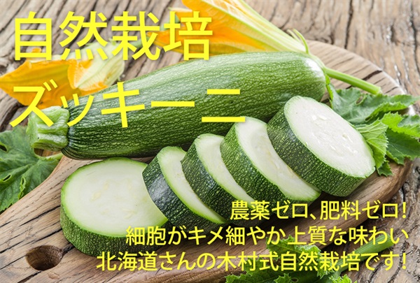 北海道産の木村式自然栽培「ズッキーニ」【1本】農薬ゼロ、肥料ゼロ、自然栽培13年目の北の大地、クール便（出荷期間8/4-8/7）