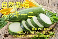 北海道産の木村式自然栽培「ズッキーニ」【1本】農薬ゼロ、肥料ゼロ、自然栽培13年目の北の大地、クール便（出荷期間8/4-8/7）