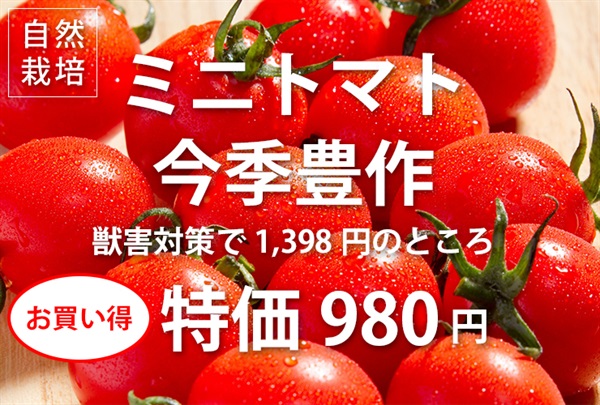 獣害対策で1398円⇒お買い得価格の980円！ 農薬ゼロ、肥料ゼロ！自然栽培ミニトマト【たっぷり500ｇ】チーム山梨※ クール便(出荷期間8/18-8/21）