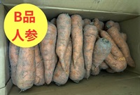 【B品】いい土の香り、耕作の北限、北海道伊藤農場さん、農薬ゼロ、肥料ゼロ「自然栽培ニンジン」葉無し【約3kg】クール便（出荷期間9/8-9/11）