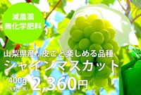 減農薬、無化学肥料の「シャインマスカット」【大1房/400g入り】山梨県産、皮ごと食べられる品種です。クール便（出荷期間9/15-9/18）