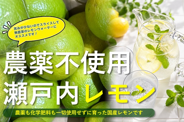 今季初モノ！農薬不使用、無化学肥料の瀬戸内「レモン」【500g】苦み少なくレモンウォーターにもオススメ！クール便（出荷期間9/15-9/18）