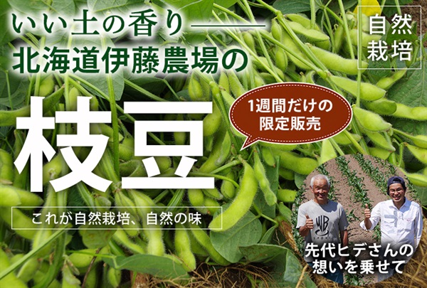 1週間だけの限定販売 ！農薬ゼロ、肥料ゼロ、北海道から伊藤農場の自然栽培「枝豆」【200g】クール便（出荷期間9/15-9/18）