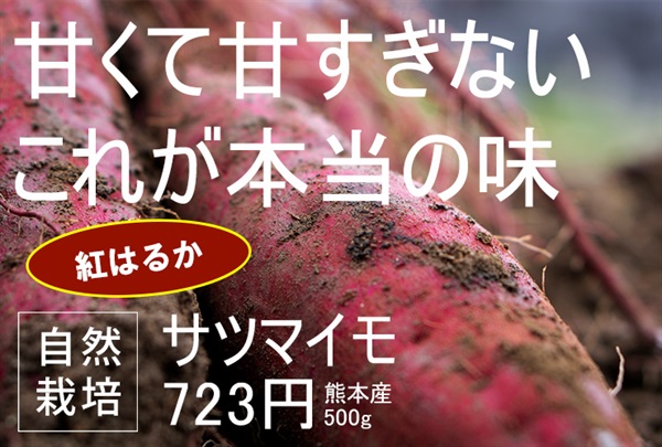農薬ゼロ、肥料ゼロ、自然栽培のサツマイモ「紅はるか」【500g】吉田よしさん(熊本県産) 常温発送可（出荷期間9/22-9/25）