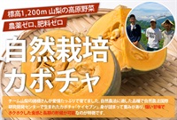 農薬ゼロ、肥料ゼロ、自然栽培のカボチャ「ケイセブン」【1玉/1.0-1.3kg】結理苑・諸橋さん(山梨) 高原野菜※常温発送可（出荷期間9/22-9/25）