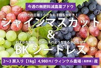 ブドウ詰め合わせ 無肥料減農薬ブドウ「シャインマスカット＆BKシードレス」【1kg/2-3房】ウィンクル農場さん(長野県産) ※クール便（出荷期間9/22-9/25）