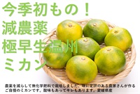 今季初もの！酸味も楽しめる！しっかりキレのある甘さ！極早生温州みかん【約1kg/10玉程度】無茶々園さん(愛媛県)減農薬/無化学肥料 ※常温発送可（出荷期間9/29-10/2）