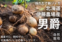   農薬ゼロ、肥料ゼロ、自然栽培ジャガイモ「男爵」【約1kg】いい土の香り、耕作の北限、伊藤農場さん(北海道)※常温発送可（出荷期間10/6-10/9）