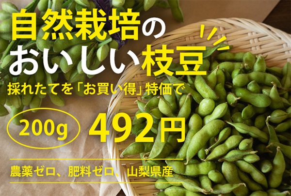オススメお買い得！農薬ゼロ、肥料ゼロ、自然栽培の「枝豆」【200g]】在来種大豆自家採種歴40年以上/丸玄さん(山梨県)※クール便（10/13-10/16）