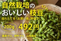 オススメお買い得！農薬ゼロ、肥料ゼロ、自然栽培の「枝豆」【200g]】在来種大豆自家採種歴40年以上/丸玄さん(山梨県)※クール便（10/13-10/16）