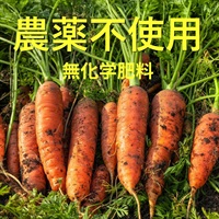 農薬不使用、無化学肥料の「ニンジン」【約1kg】タテノファームさん(山梨県)/洗い/葉無し※常温発送可（出荷期間11/3-11/6）