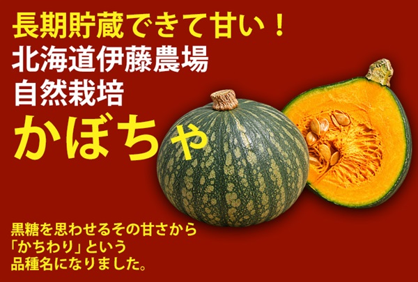 「いい土の香りシリーズ」耕作の北限、北海道伊藤農場産　自然栽培カボチャ【1玉/約1.0kg-1.5kg】農薬0ゼロ！肥料0ゼロ！常温発送可（出荷期間10/26-10/30）