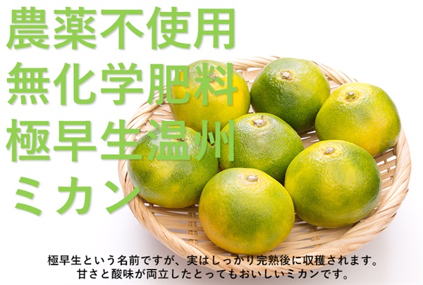 農薬不使用、無化学肥料の」極早生温州みかん」【約1kg】とびしま農園さん（広島県）※常温発送可（出荷期間10/27-10/30）