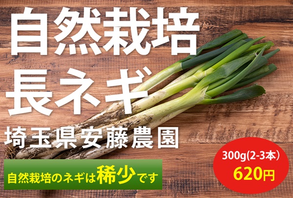 【10名様限定】農薬ゼロ、肥料ゼロ、自然栽培の長ネギ【たっぷり300g（2-3本）】安藤農園さん(埼玉県)※クール便（出荷期間11/3-11/6）