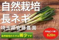 【10名様限定】農薬ゼロ、肥料ゼロ、自然栽培の長ネギ【たっぷり300g（2-3本）】安藤農園さん(埼玉県)※クール便（出荷期間11/3-11/6）