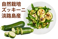 農薬ゼロ、肥料ゼロ！自然栽培「ズッキーニ」【1本】淡路島産　クール便（出荷期間6/3-6/6）
