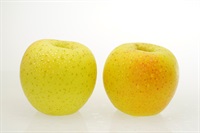 【只今の注文⇒11/3出荷開始分】 先着12セット限定、工藤さんの秋のリンゴ「星の金貨」 【秀品3kg】肥料・除草剤不使用、酢散布で病気予防、自然派「減農薬」リンゴ　青森県産 ※クール便