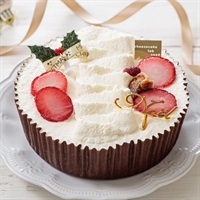 【12/17出荷商品/ 冷凍便】seed 苺のホワイトクリスマスチーズケーキ【直径約15cm】小麦粉不使用