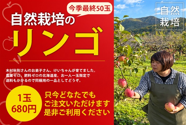 【どなたでも注文いただけます/工藤さんのリンゴや生鮮と同梱可/お一人様1玉】農薬ゼロ、肥料ゼロ、除草剤ゼロ、北海道産の木村式自然栽培「リンゴ」【1玉】クール便発送（出荷期間11/3-11/6）