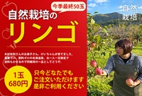 【どなたでも注文いただけます/工藤さんのリンゴや生鮮と同梱可/お一人様1玉】農薬ゼロ、肥料ゼロ、除草剤ゼロ、北海道産の木村式自然栽培「リンゴ」【1玉】クール便発送（出荷期間11/3-11/6）
